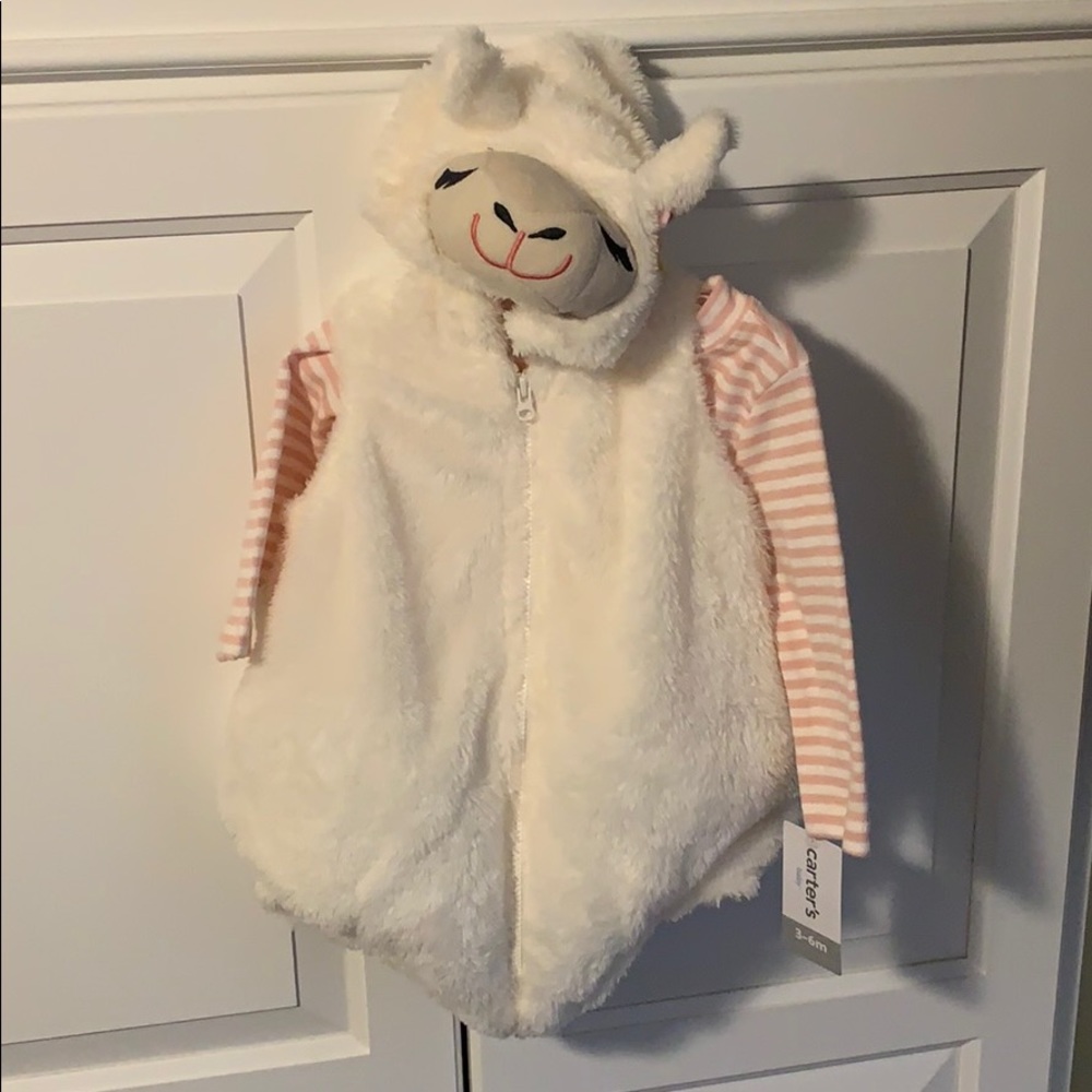 Carters Llama outfit.